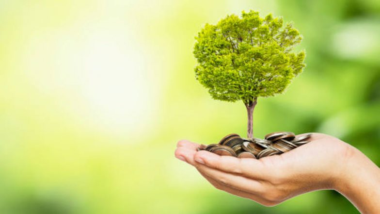 Save Tree: एक पेड़ काटने की जरूरत हो तो, दो लगाने के बाद ही काटें:  इलाहाबाद हाई कोर्ट