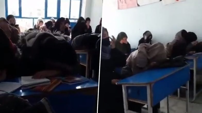 Afghanistan: अफगानिस्तान में महिला विश्वविद्यालय शिक्षा पर प्रतिबंध लगने के बाद लड़कियों की रोने का विडियो वायरल, देखें Video