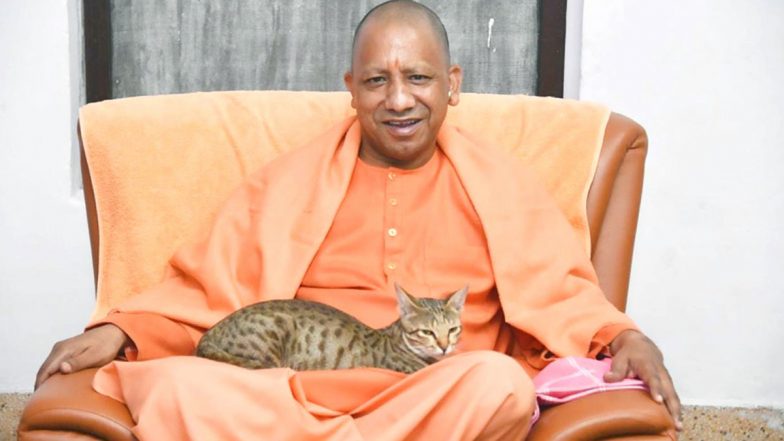 CM Yogi Photo With Cat: मुख्यमंत्री योगी का जानवरों के साथ प्यार एक बार और आया नजर, बिल्ली के साथ तस्वीर साझा कर लिखा ये