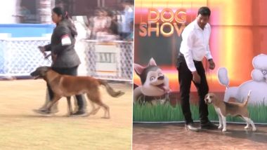 National level 'Dog Show': भुवनेश्वर में आयोजित 3 दिवसीय 'डॉग शो' में देश भर से 35 से अधिक नस्लों के करीब 400 कुत्तों ने भाग लिया- Video