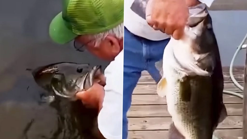 छोटी फिश को चारा बनाकर शख्स ने किया बड़ी मछली का शिकार, Viral Video देख हैरान हो जाएंगे आप