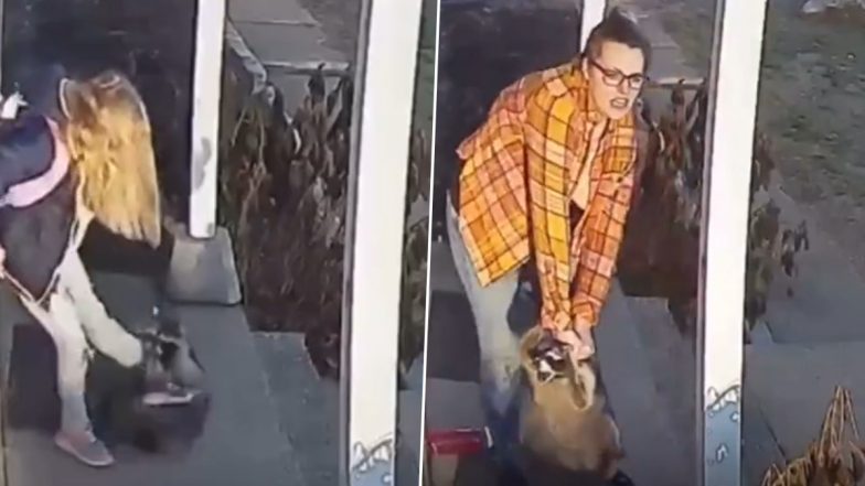 Viral Video: शिकार के इरादे से जंगली जानवर ने बच्ची को दबोचा, बहादुरी दिखाते हुए मां ने ऐसे बचाई जान