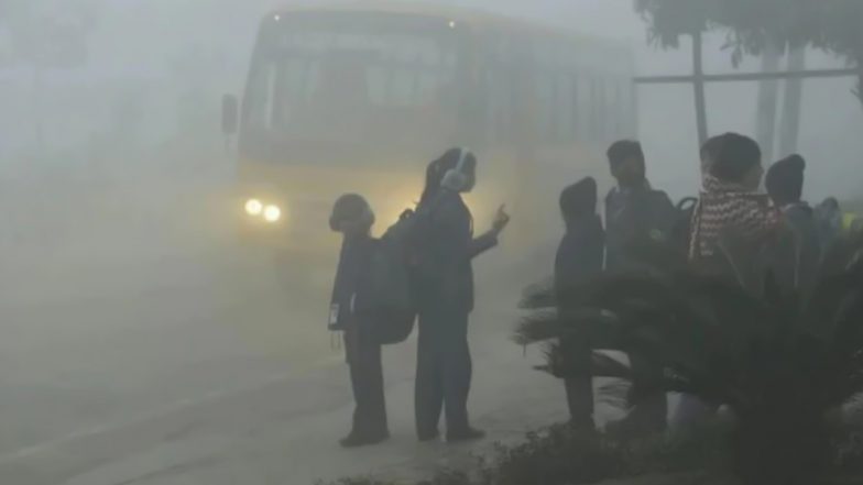 Cold Wave in Rajasthan: उदयपुर, बीकानेर में 18 जनवरी तक स्कूल बंद, फतेहपुर में पारा शून्य से 3.7 डिग्री सेल्सियस नीचे