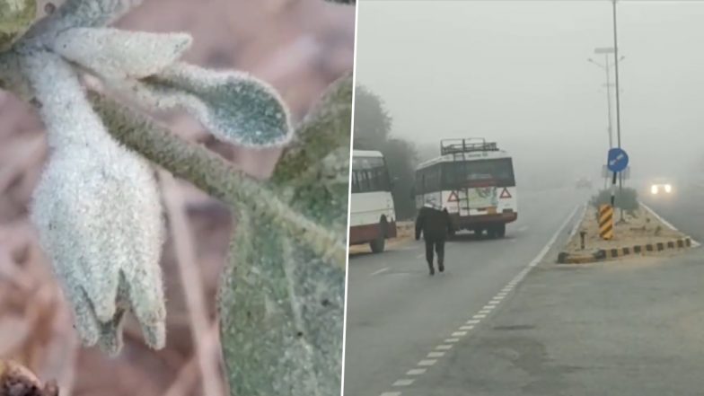राजस्थान: चूरू के तापमान में जबरदस्त गिरावट, वाहनों पर और खेतों में जमी बर्फ की परत (Watch Video)