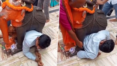 मंदिर में हाथी की मूर्ति के नीचे फंसा भक्त, अत्यधिक भक्ति के चक्कर में हुआ यह हाल (Watch Viral Video)