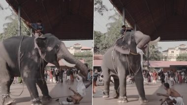 Viral Video: केरल में एक जोड़े की शादी के फोटोशूट के दौरान गुस्साए हाथी ने किया महावत पर महला, उठाकर जमीन पर पटका