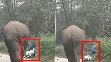 Elephant Attack: हाथी के हमले में बाल-बाल बचा शख्स, बाइक छोड़कर भागने पर हुआ मजबूर (Watch Video)