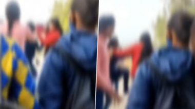 College Girls Fight Video: हापुड़ में कॉलेज के बाहर छात्राओं के बीच मारपीट, वीडियो वायरल