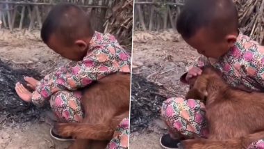 Viral Video: नन्ही बकरी को ठंड से बचाने के लिए छोटे से बच्चे ने किया ऐसा काम, तारीफ करने से खुद नहीं रोक सकेंगे आप
