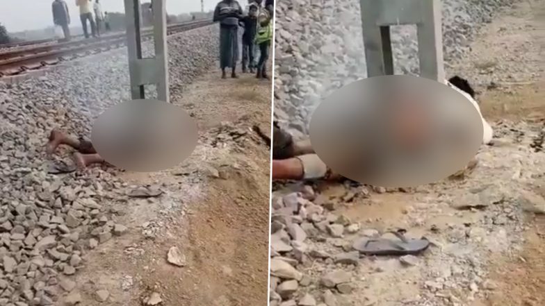 Viral Video: वीडियो बनाने के लिए खंभे पर चढ़ा शख्स, फिर हुआ कुछ ऐसा कि शरीर से निकलने लगा धुआं