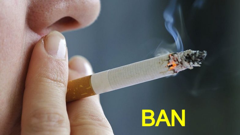 No Smoking In Hotel and Airport: होटल और एयरपोर्ट पर नहीं कर सकेंगे स्मोकिंग? विशेषज्ञों की सलाह पढ़े