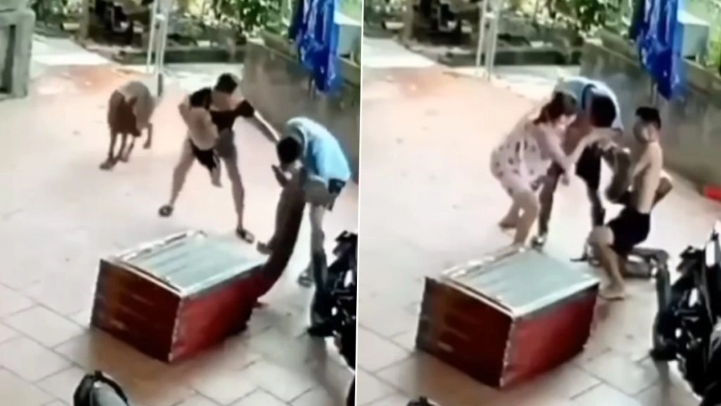 अजगर के साथ खिलवाड़ कर रहा था शख्स, तभी हुआ कुछ ऐसा… देखें रोंगटे खड़े करने वाला वीडियो