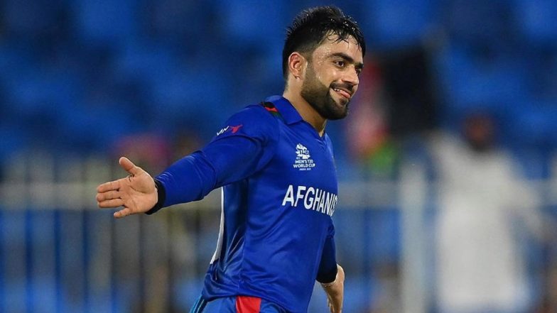 ICC T20 Ranking 2023: राशिद खान ने गेंदबाजों में फिर किया शीर्ष स्थान हासिल, शादाब खान आलराउंडर रैंकिंग में आठ स्थान की लगाई छलांग