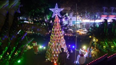 Christmas Tree in Kolkata: 30 फुट लंबा क्रिसमस ट्री पार्क स्ट्रीट की चमक को बढ़ा रहा, देखिए VIDEO