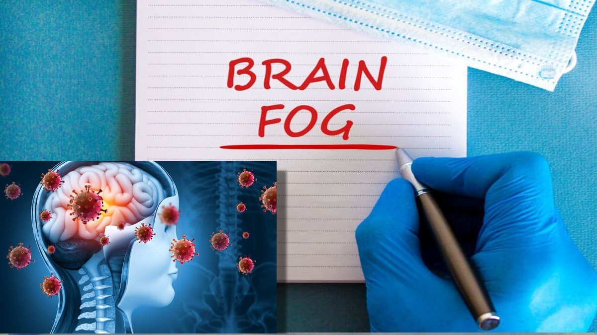 COVID-19 Cause Brain Fog? अरे, आप कुछ भूल गए, हो सकता है यह Covid-19 का असर हो