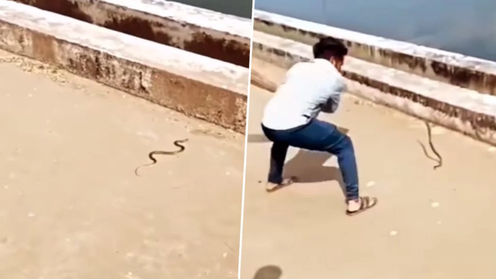 Viral Video: झाडू लेकर सांप को मारने पहुंचा शख्स, हवा में उछालते ही दूसरे शख्स पर जा गिरे नागराज और फिर…