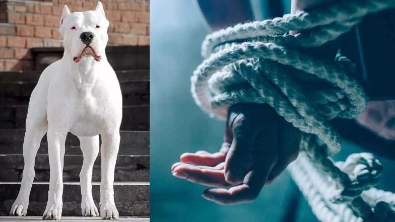 Kidnapping For Dog: कुत्ता पसंद आने पर किया युवक का अपहरण, फिरौती में मांगा डोगो अर्जेंटीनो डॉग