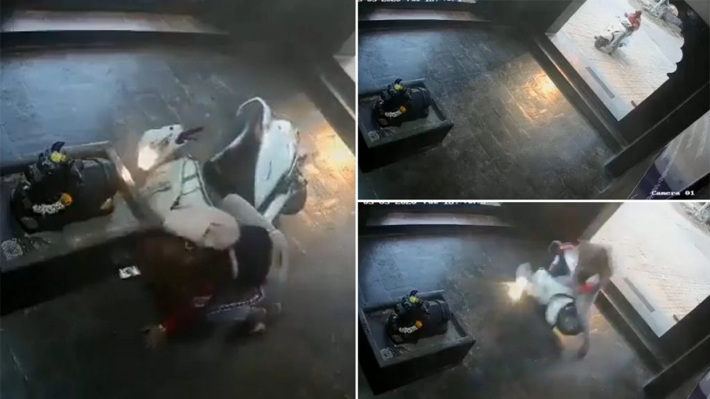 सीधे भगवान के चरणों में जा गिरी लड़की, स्कूटी पर सवार होकर मंदिर के भीतर मारी खतरनाक एंट्री-Watch Video