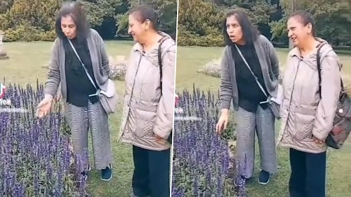 लैवेंडर फ्लावर खरीदने गई पंजाबी आंटी ने गलती से फूल को कहा लफंटर, देखें फनी वीडियो