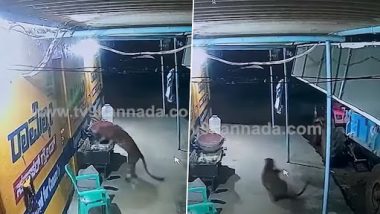 Leopard Attack Dog: रामनगर में एक ईंट के कारखाने में तेंदुए ने किया कुत्ते पर अटैक, बनाया अपना निवाला, देखें वीडियो