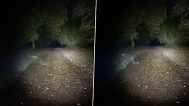 Ghost Video: रात में टहलते हुए पति-पत्नी को दिखा अजीब साया, कैमरे में कैद हुआ खौफनाक मंजर