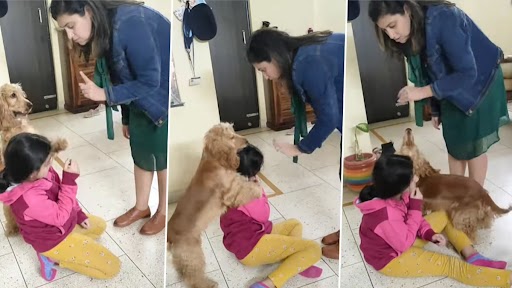 Video: बच्ची को मारने का ड्रामा कर रही थी महिला, कुत्ते ने आकर बचाया, देखें मनमोहक वीडियो