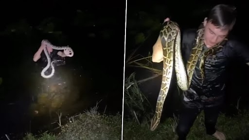 Snake Video: विशाल अजगर को बचाने के लिए नदी में कूदा शख्स, खतरनाक वीडियो वायरल