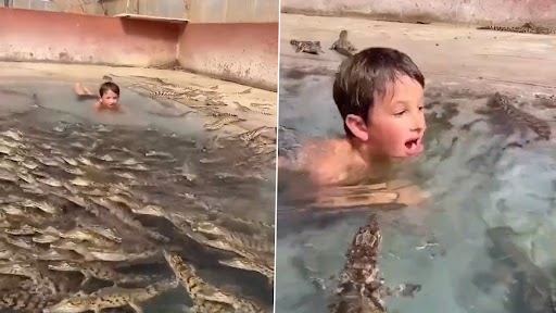 Viral Video: मगरमच्छों से भरे तालाब में नहाते हुए बच्चे का क्लिप वायरल, वीडियो देख कांप जाएगी रूह