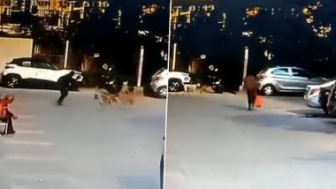 Noida Dog Attack: राह चलते व्यक्ति पर कुत्तों के झुंड ने किया हमला, सीसीटीवी में कैद हुई घटना