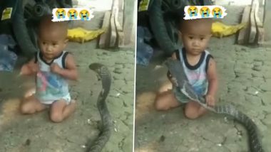 Child Caught Giant Cobra: खेलते हुए बच्चे ने अपने पास आए विशाल कोबरा का पकड़ा फन, भयावह वीडियो वायरल