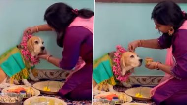 Pet Dog Baby Shower: महिला ने अपने पालतू डॉग के लिए रखी गोद भराई, क्यूट वीडियो वायरल