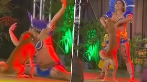 Video: स्टेज पर परफॉर्मेंस के बीच में आ गया कुत्ता, करने लगा डांस रोकने की कोशिश, देखें वीडियो