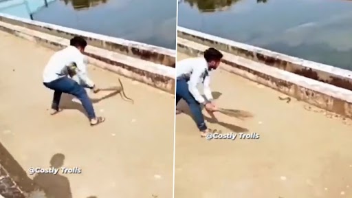 Snake Video: सांप को झाडू से छेड़ रहा था शख्स, गुस्से में स्नेक उड़कर आया ऊपर, देखें भयानक वीडियो