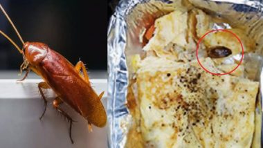 Cockroach in Omelette: हद है! राजधानी ट्रेन में बच्ची को परोसे गए आमलेट में निकला कॉकरोच