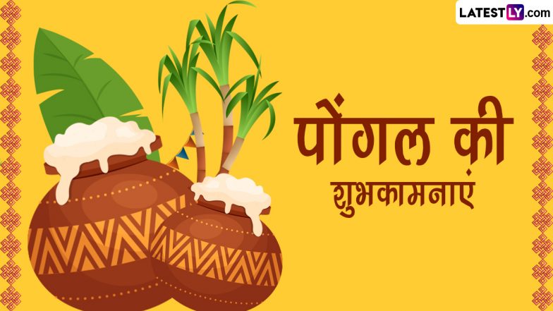 Pongal Wishes 2023: पोंगल पर ये हिंदी विशेज WhatsApp Stickers, GIF Images और SMS के जरिये भेजकर दें शुभकामनाएं!