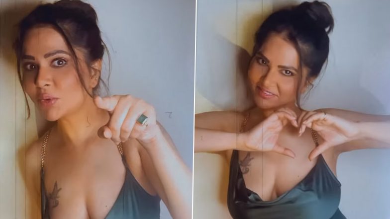 ब्रालेस होकर Abha Paul ने फ्लॉन्ट किया सीक्रेट टैटू, Gandi Baat और Kamasutra 3D एक्ट्रेस की बोल्डनेस देख यूजर्स का छूटा पसीना (Watch Video)