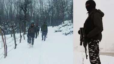 J-K: बालाकोट में सुरक्षाबलों ने 2 आतंकियों को मार गिराया, इलाके में सर्च ऑपरेशन जारी