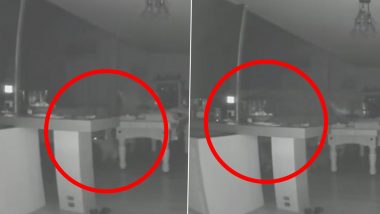 Ghost Viral Video: सीसीटीवी में कैद हुआ परिवार के मृत सदस्य का भूत? पालतू कुत्ते के साथ घूमती दिखी रहस्यमय आकृति