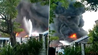 Goa Fire: गोवा के Pilerne Industrial एस्टेट में लगी भीषण आग, मौके पर दमकल की गाड़ियां मौजूद- Video