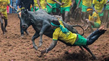 Jallikattu Festival 2023: मौत की घटनाओं को रोकने के लिए प्रशासन उठाएगा सख्त कदम