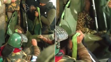Leopard Rescued Video: अलीगढ़ में एक घर में घुसे तेंदुए को कड़ी मशक्कत के बाद रेस्क्यू किया गया