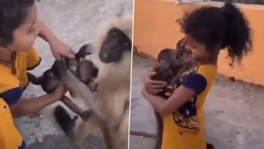 Viral Video: लंगूर के बच्चे को खिलाने की जिद्द कर रही थी बच्ची, घबराई मां ने वापस लेकर सीने से लगाया