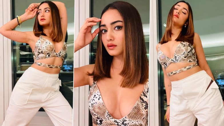 Aashram 3 फेम Tridha Choudhury का हॉट आउटफिट में दिखा सिजलिंग अवतार, एक्ट्रेस की कातिल अदाओं ने यूजर्स को बनाया मतवाला (Watch Video)
