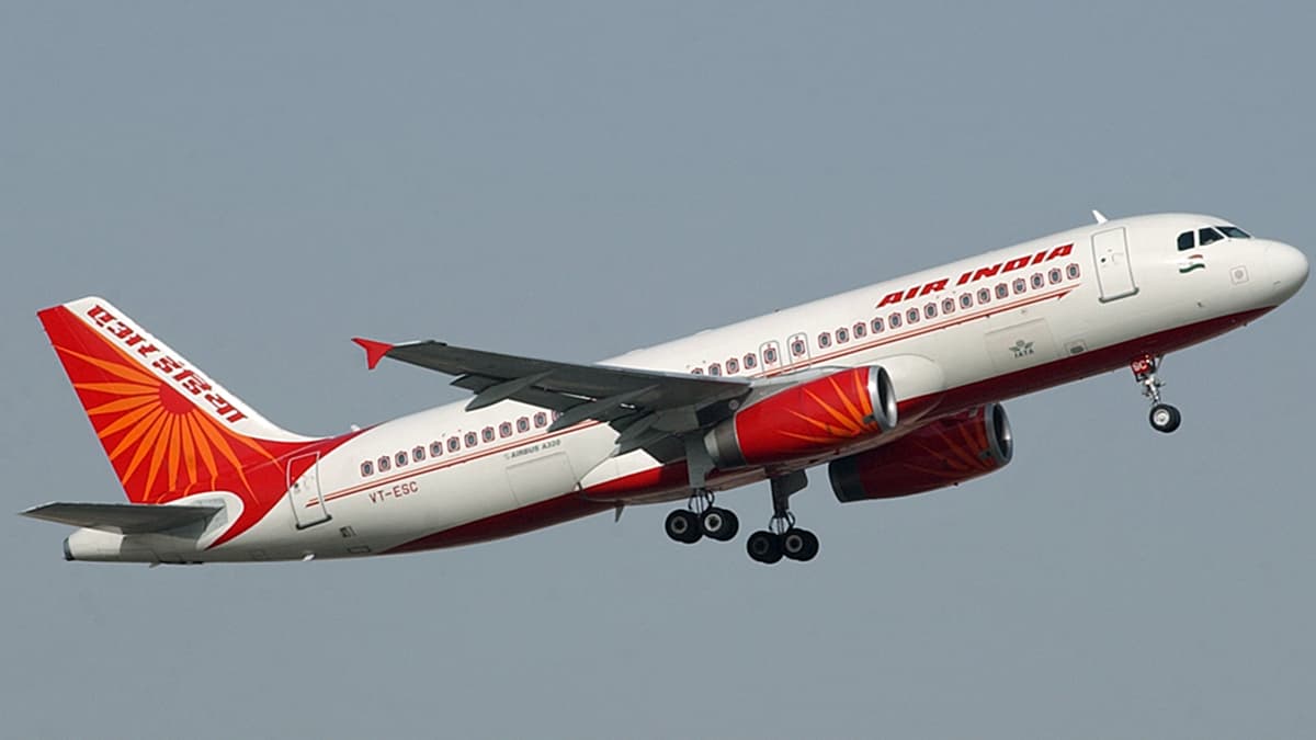 Air India Urinating Incident: 'पायलट-इन-कमांड को बनाया गया बलि का बकरा'