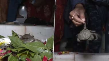 Gujarat: सूरत के रामनाथ शिव घेला मंदिर में भक्तों ने शिवलिंग पर अर्पित किए जिंदा केकड़े, वजह जानकर रह जाएंगे दंग (Watch Video)