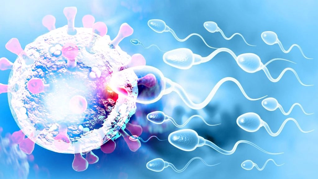 कोरोना वायरस का पुरुषों के स्पर्म की गुणवत्ता पर पड़ सकता है असर, चौकाने वाली रिपोर्ट आई सामने