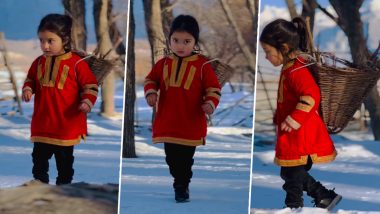 Viral Video: बर्फीली वादियों में लकड़ी इकट्ठा करती छोटी बच्ची का दिल जीतने वाला वीडियो वायरल, आप भी कहेंगे- So Cute
