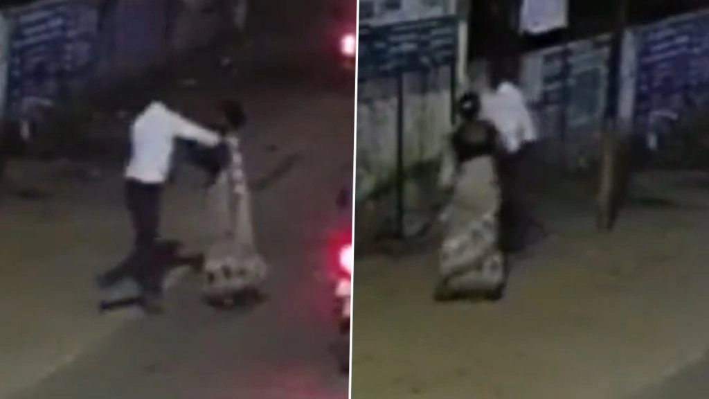 Tamil Nadu Shocker: बीच सड़क पत्नी पर चाकू से वार करता रहा पति, पब्लिक देखती रही (Video)