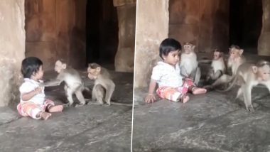 Viral Video: बंदरों के साथ बेखौफ होकर खेलता दिखा बच्चा, वीडियो देख बन जाएगा आपका दिन