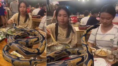 Girls Dining With Python: डाइंनिंग टेबल पर अजगर के साथ लड़कियों ने खाया खाना! VIDEO देख दंग रह गए लोग